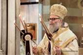 Поздравление Предстоятеля Антиохийской Православной Церкви с 75-летием Святейшего Патриарха Кирилла